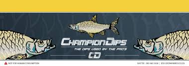 Champion Dips