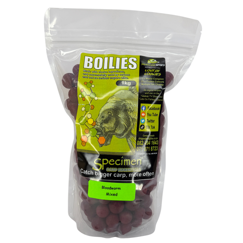 15mm Blood Worm 1kg - LL BO
