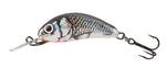 2.5cm Holographic Grey Shiner Hornet Sinking