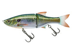 Live Blue Gill 178 SS Glide Bait - Molix