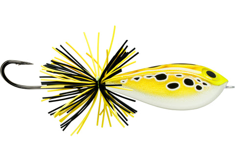 #5 Live Leopard Frog Skitter Frog - Topwater