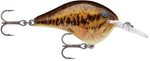 #8 Live Smallmouth Bass Dives To - Crankbait