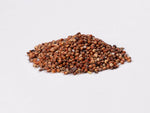 Red Sorghum - SG