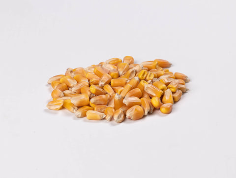 Yellow Maize (Whole) - MPW